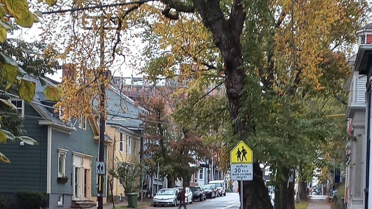 Petition · Save Our Trees Halifax, Canada ·