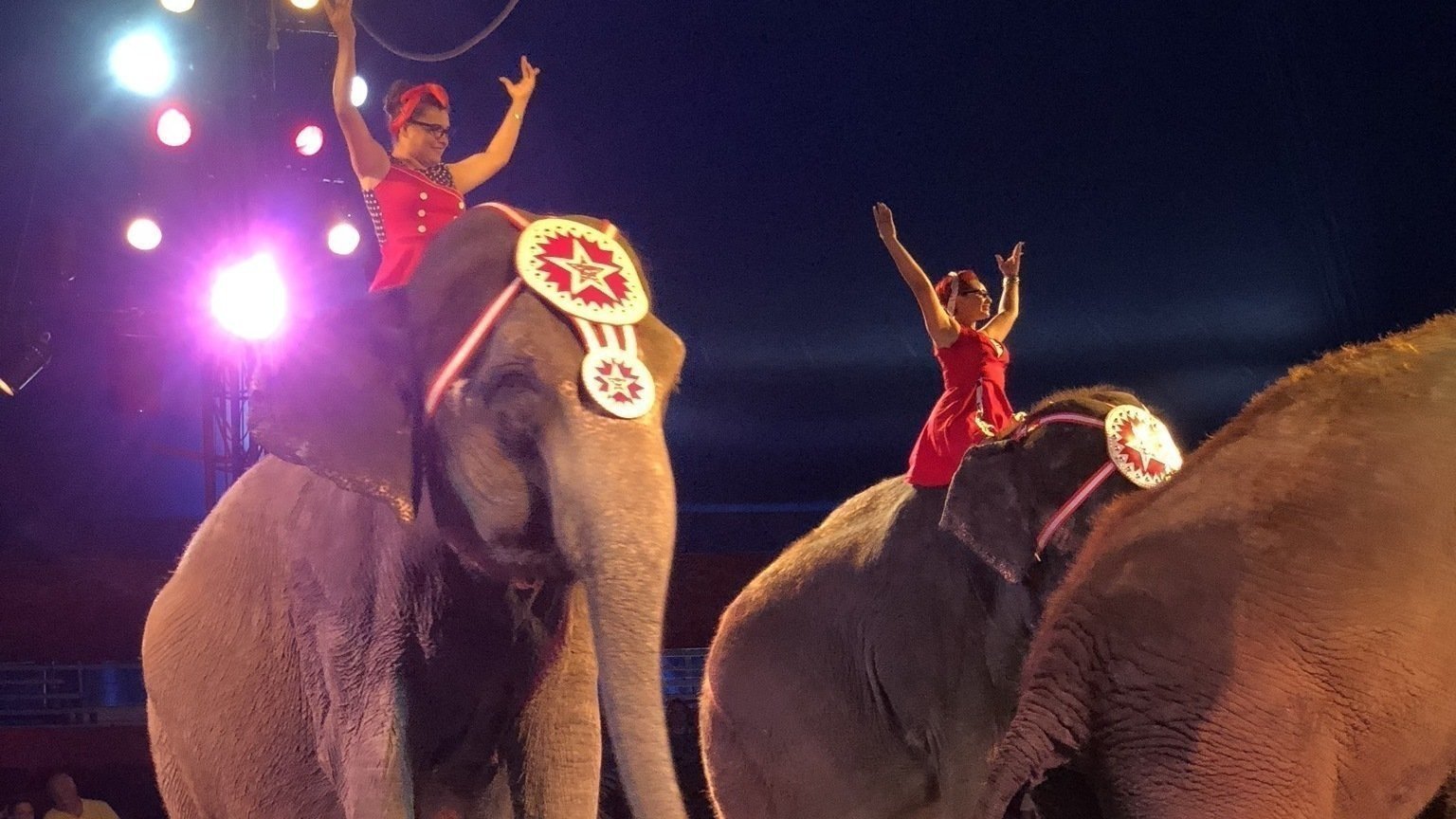 Petition · Stop Animal Abuse at Carson and Barnes Circus