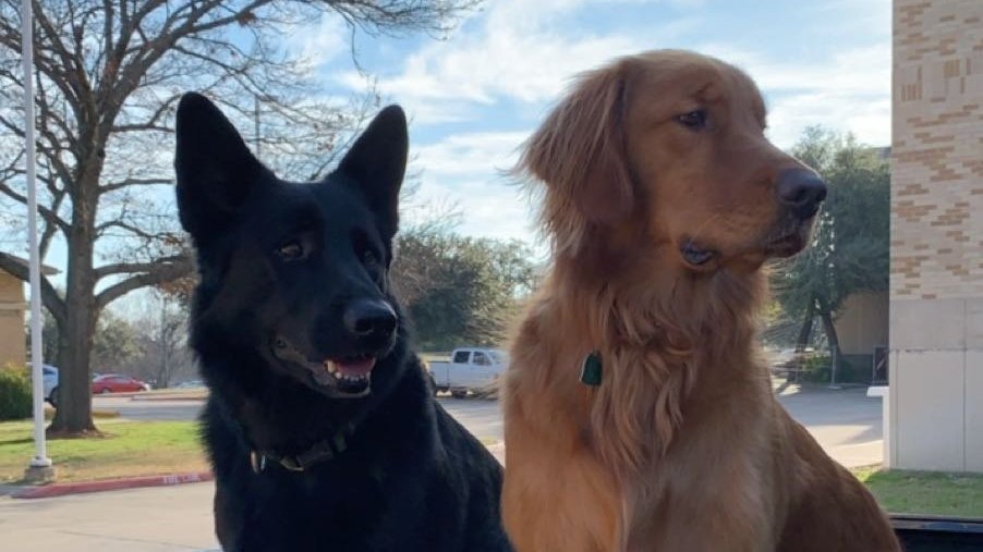 Petition · Livingston Dog Park ·