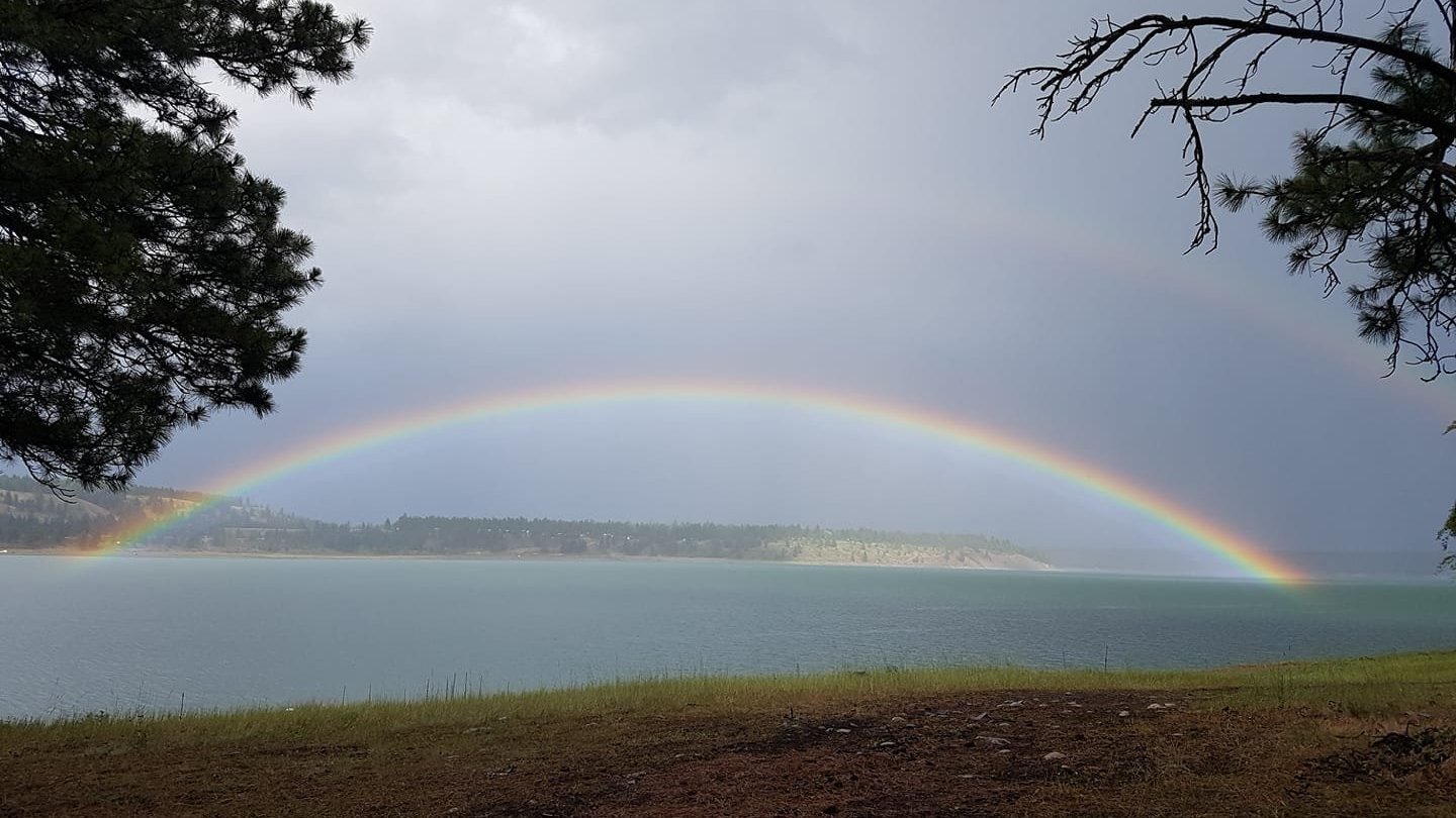 Petition Lift The Restrictions On Camping At Lake Koocanusa This Summer Change Org