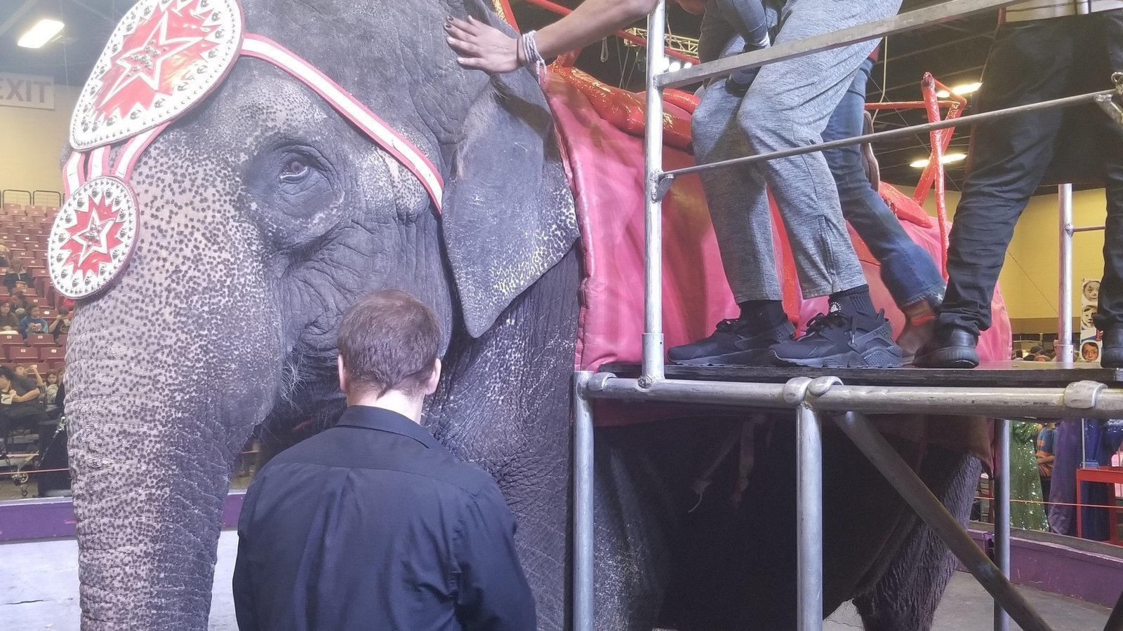 Topic · Circuses · Change.org