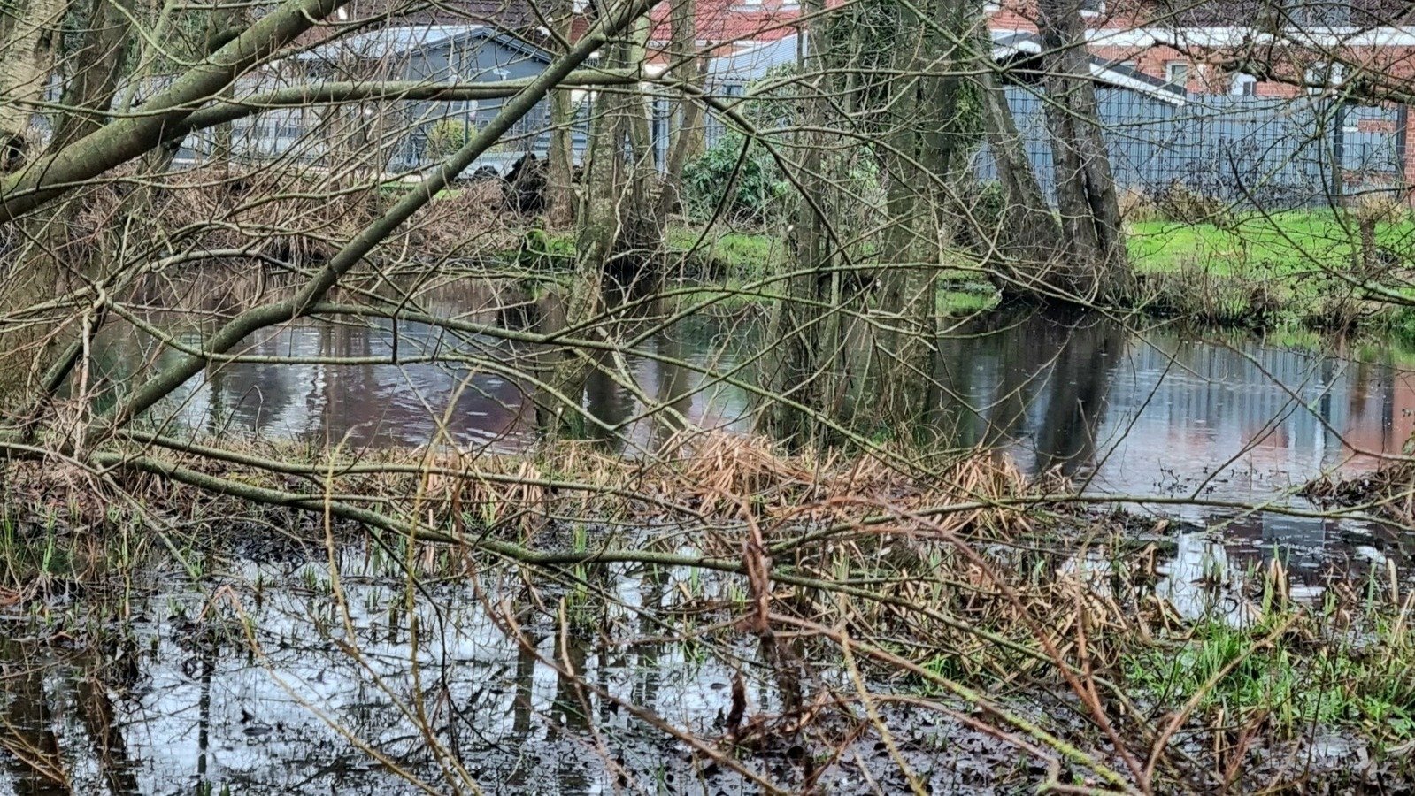 Petition · Eine Absicherung von einem Teich in Sandhorst ·