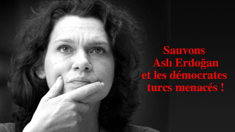 Petition Sauvons Asli Erdogan Et Les Democrates Emprisonne E S En Turquie Change Org