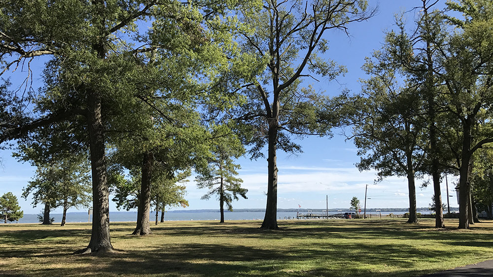 Petition · Save Eleanor Park in Colonial Beach, Virginia ·
