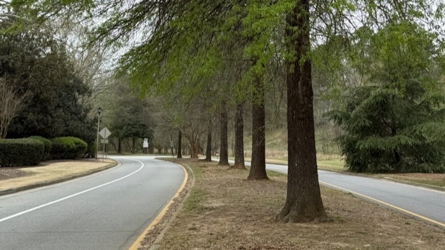 Petition · STOP Cobb County’s Plans to Cut Down Trees on Columns Drive ...