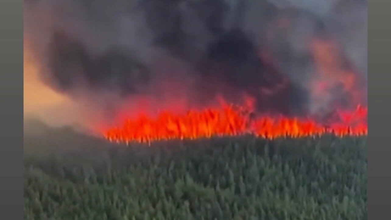 Petition · Declare State of Emergency in Canada for Wildfires - Toronto ...