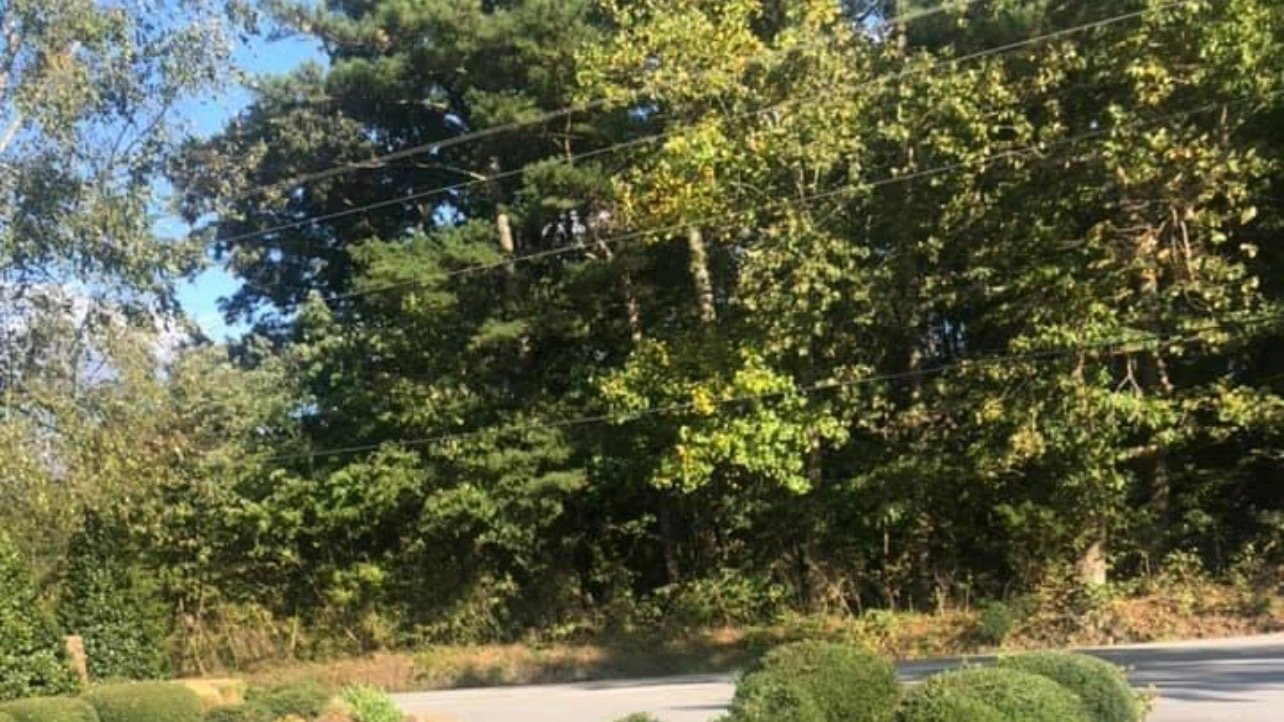 Petition · Manning Road Rezoning and Development (across from