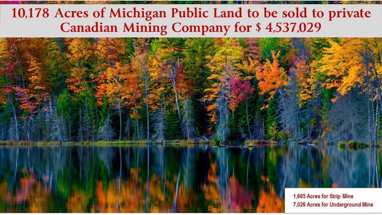 Petition · Stop the State of Michigan from executing a sale of over