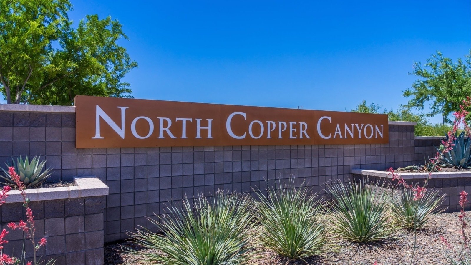 Petition · Change the rules regarding Sheds in the HOA CCR at North