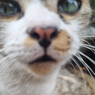 ChangeOrg profile picture for @Nathanael