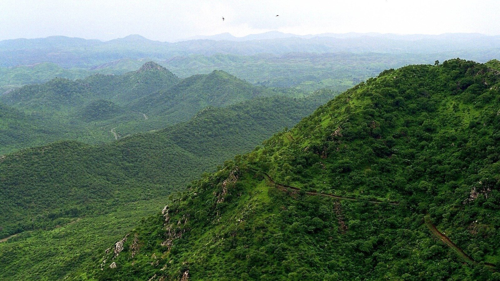 Petition · Stop the cutting of Aravali Hills below 100 meters - India ...