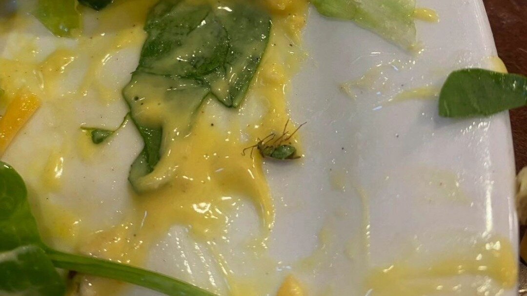 Petition · Improve the lemoyne dining hall food! ·