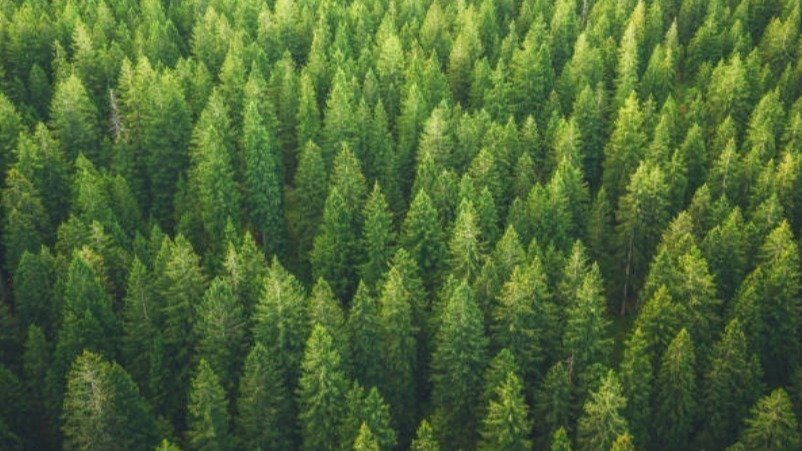 You Will Never Guess What 10-4 Gets You Into!