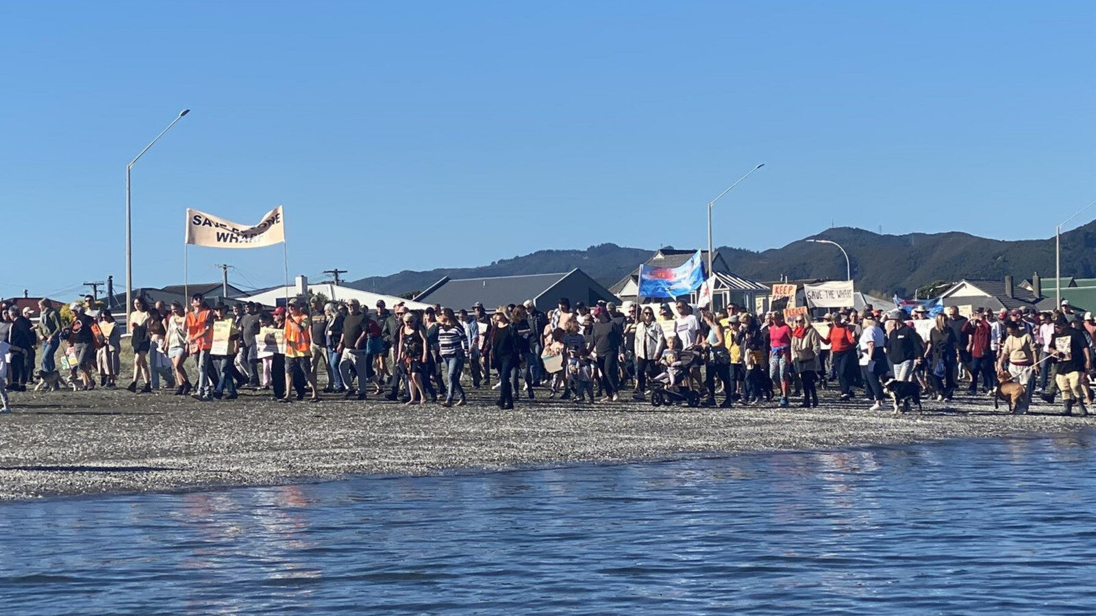 Petone Library Petition update · Successful Save Petone Wharf Beach Walk; LTP ...