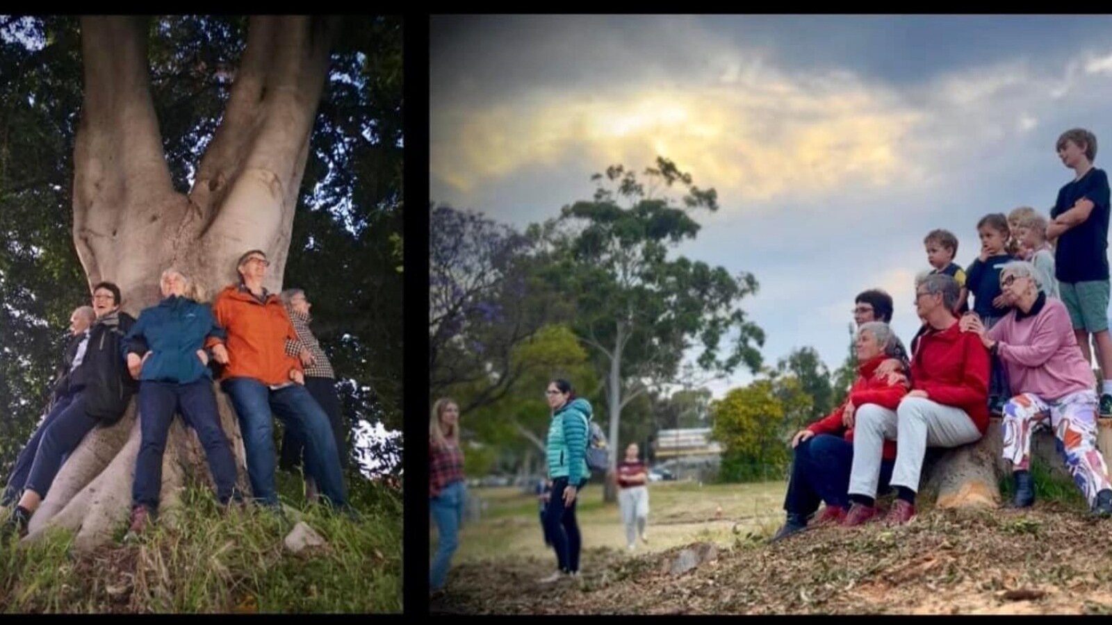 Felling Included Petition update · The trees have fallen but our community has risen ...
