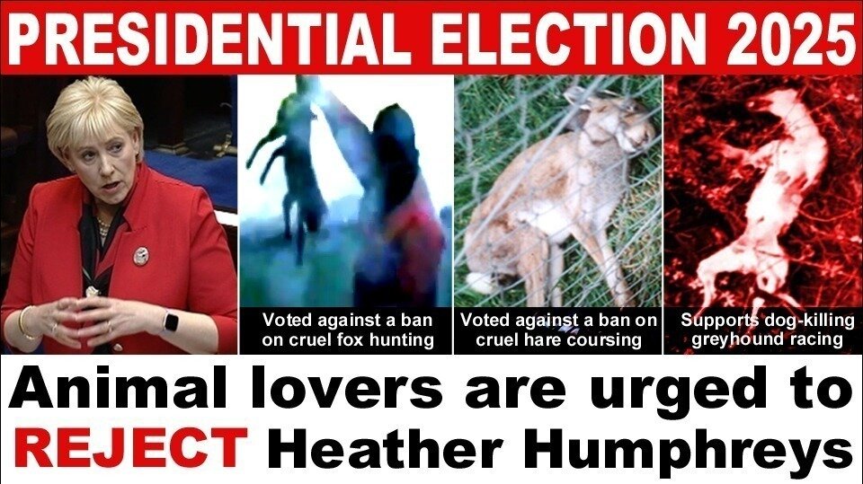 Rejecting Animal Petition update · Presidential Election 2025: Animal lovers urged to ...