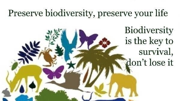 Petition · URGENT ACTION TO PROTECT OUR BIODIVERSITY - Malaysia ...