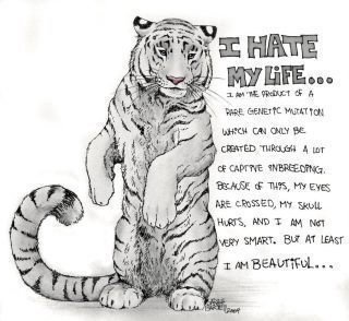petition i want zoos