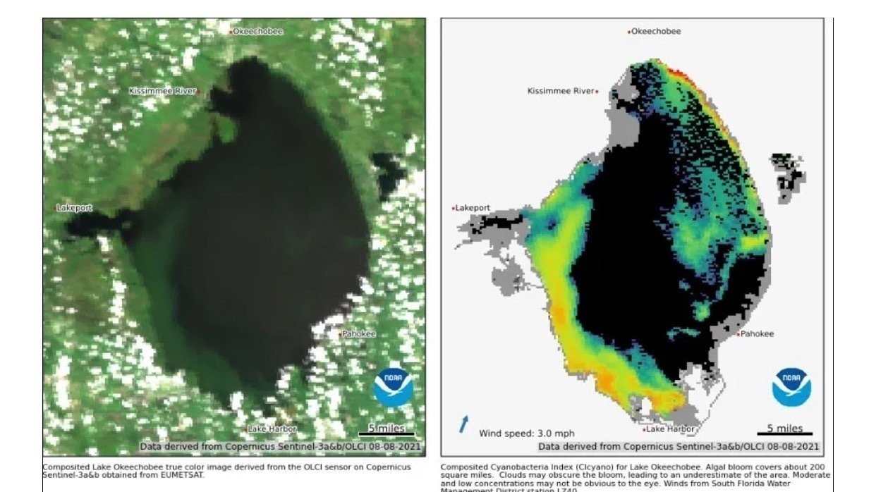 Petition · Reduce Red Tide Ask FL officials to enforce regulations at