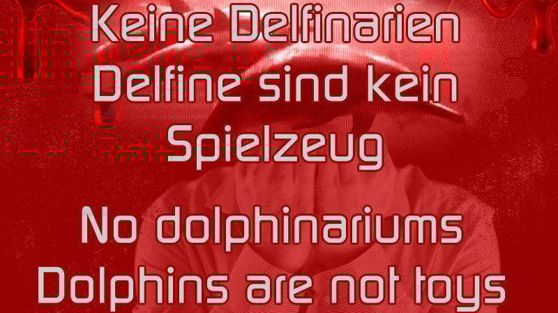 Petition Schliessen Sie Das Delfinarium Nurnberg Kein Delfin Gehort In Gefangenschaft Change Org