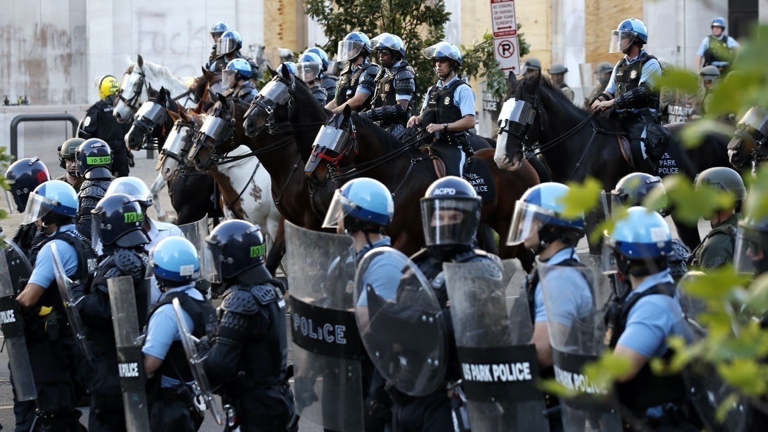Petition · Investigate Brutal Clearing Action in Lafayette Park