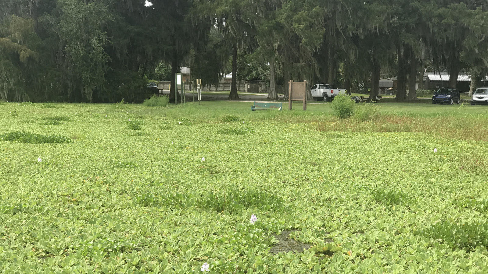 Petition · Approve methods that will stop the spread of invasive ...