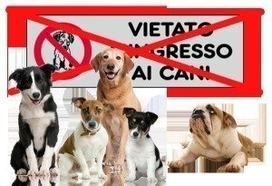 Petizione Chiedo Che Rendano Accessibili Ai Cani E Ai Loro