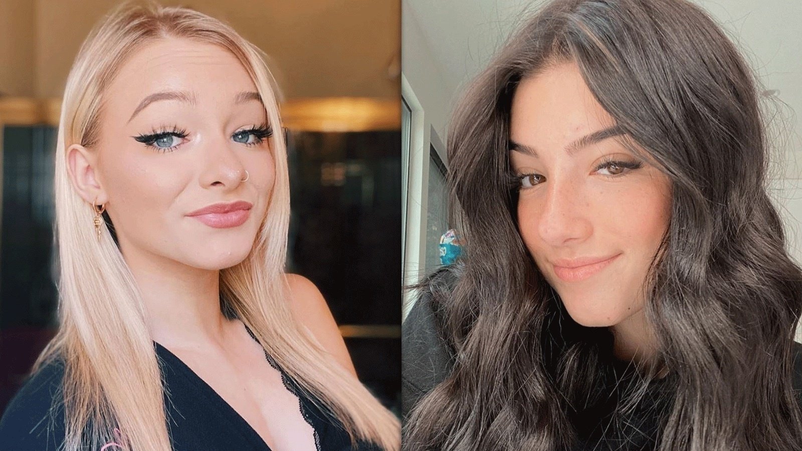 Petition · Keep Charli and Zoe on tiktok!! ·