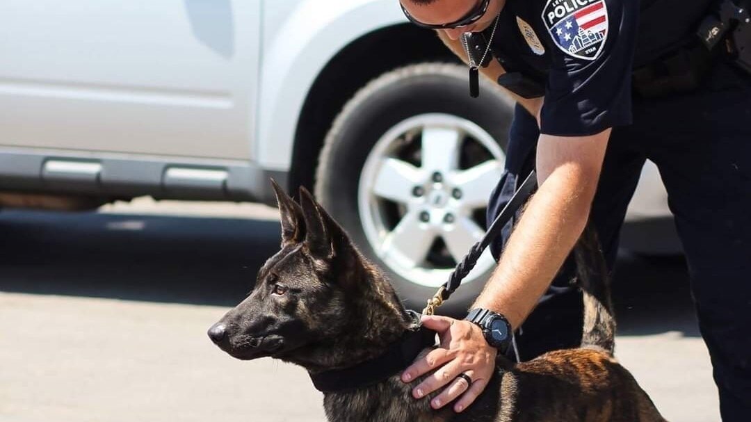 Petition · Restrict Law Enforcement Car Unlocking to Emergency ...