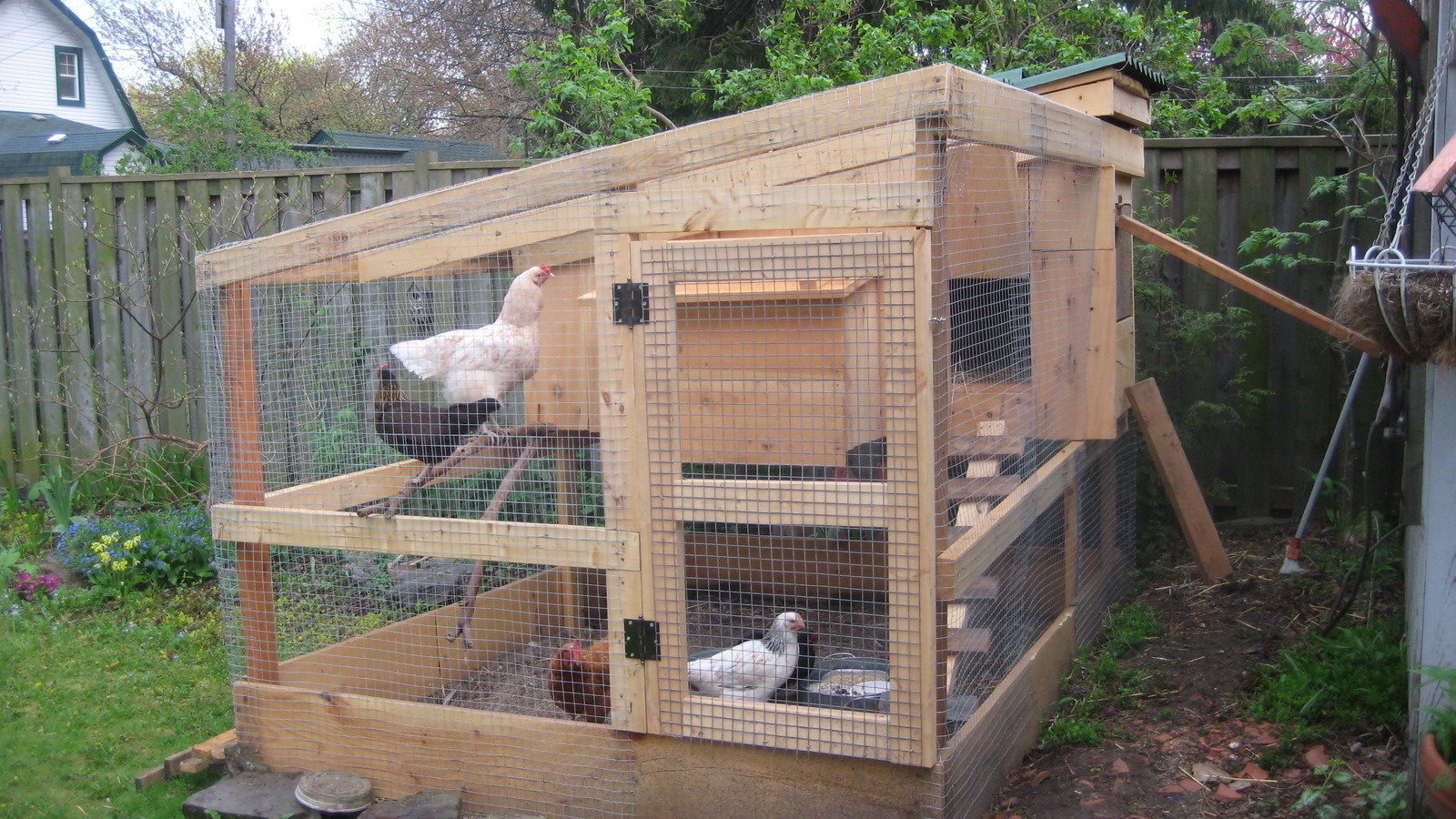 Petition · Amend the Mississauga city ByLaw 9804 to allow keeping of