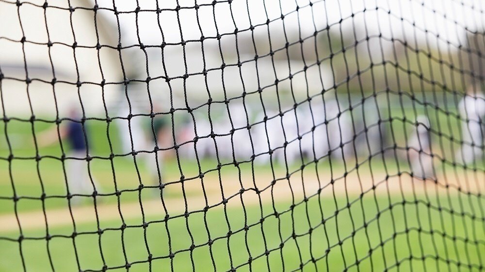 Petition · Extend Protective Baseball Netting in MLB Ballparks ·