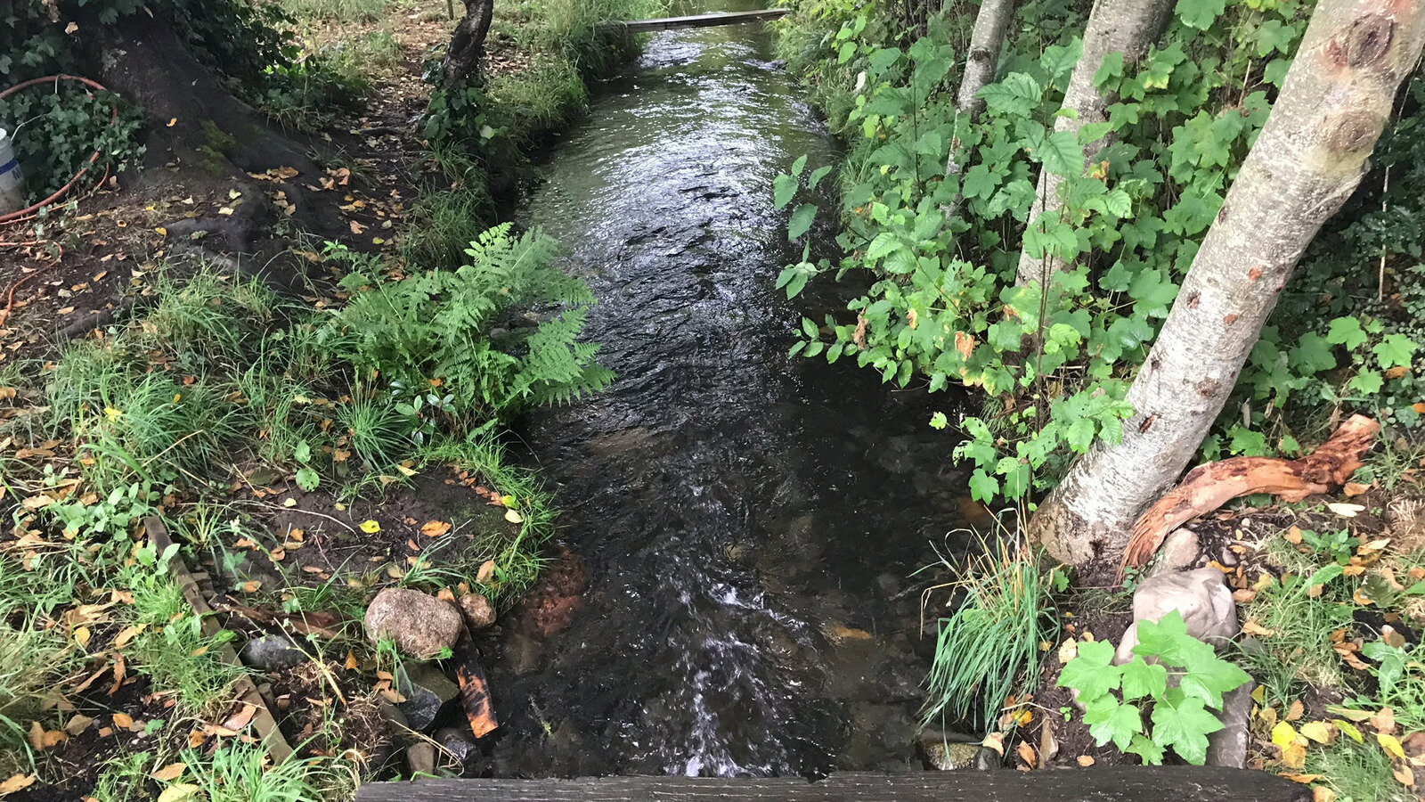 Petition · Preserve Sequim's Historical Ditch and Protect Our Pioneer