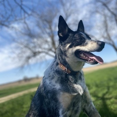 ChangeOrg profile picture for @LOWE