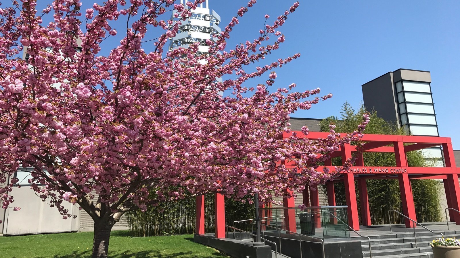 Petition · Save Lives Keep Stony Brook University Online this Fall