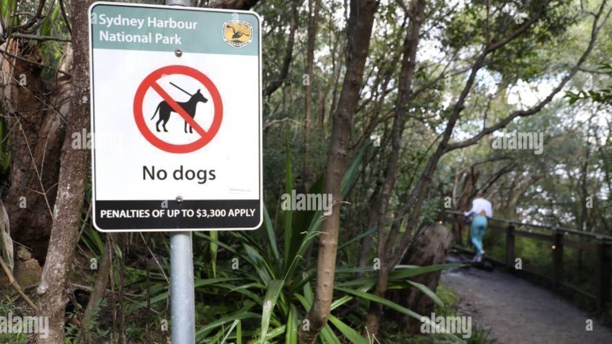 Petition · More Offleash & DogFriendly areas in Manly, Northern