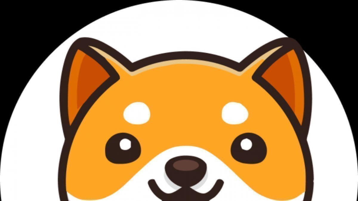 Petition · Kindly List BabyDoge on Robinhood - United States · Change.org
