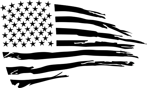 Petition Transparency By Declassification Change