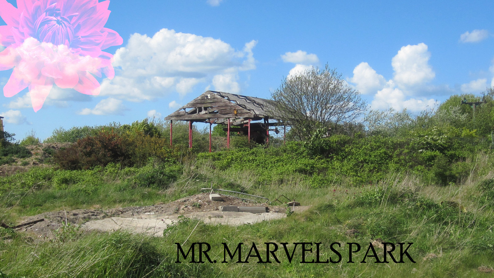 Petition · Turn the abandoned MR. Marvel's into a park ·