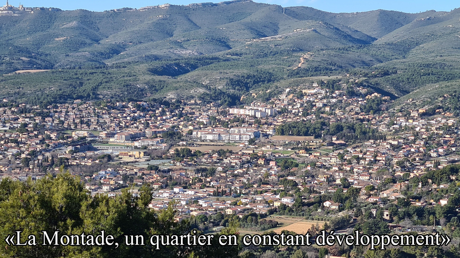 Pétition · Pour que PlandeCuques reste PlandeCuques France