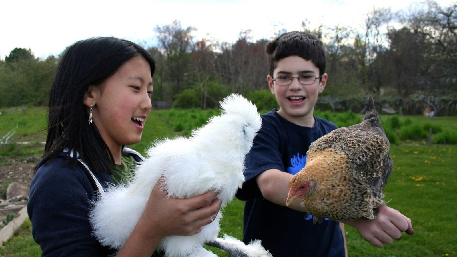 Petition · Change the Zoning Laws to Allow Backyard Chickens in