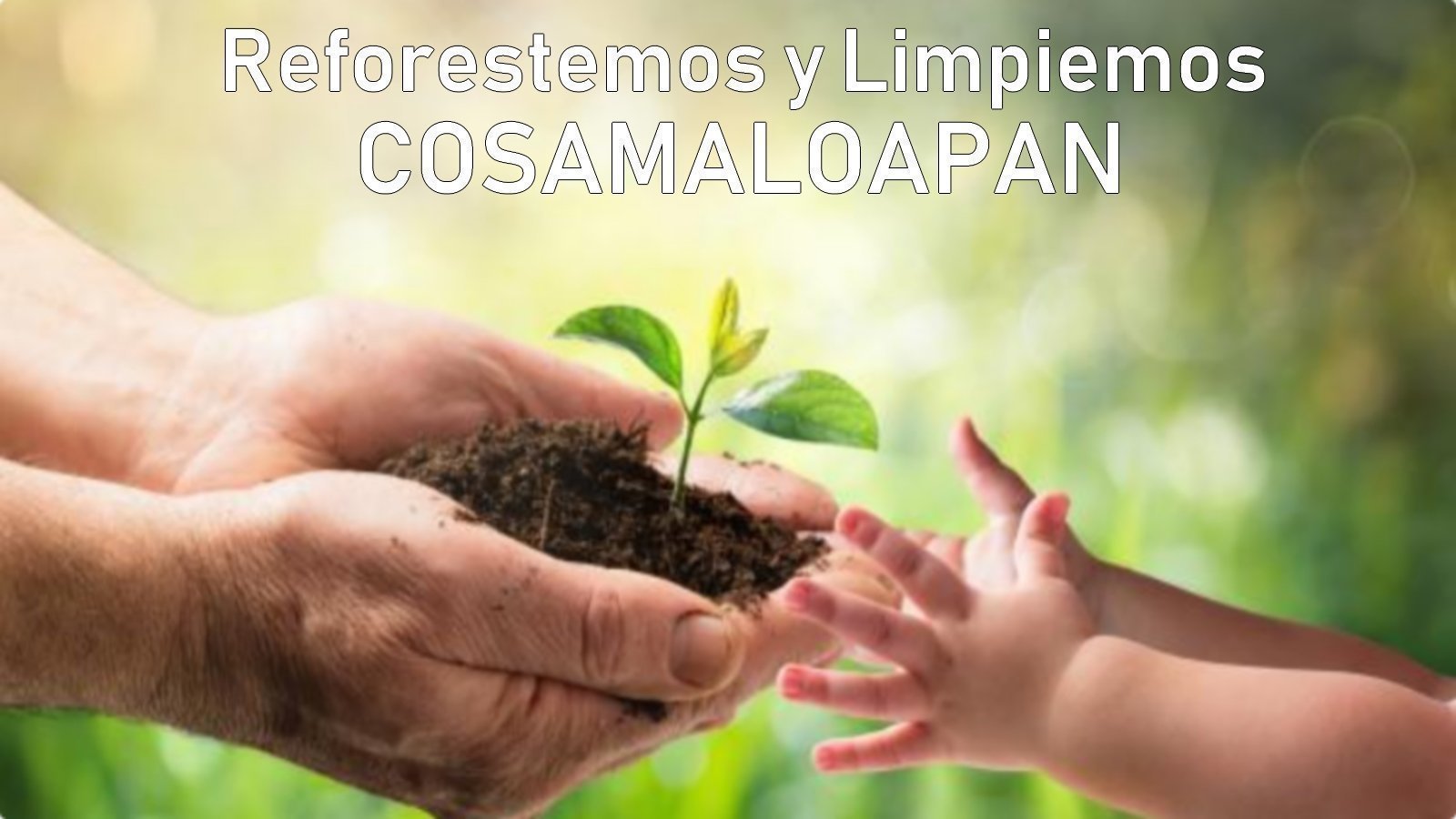 Petición · REFORESTEMOS Y LIMPIEMOS COSAMALOAPAN - México · Change.org