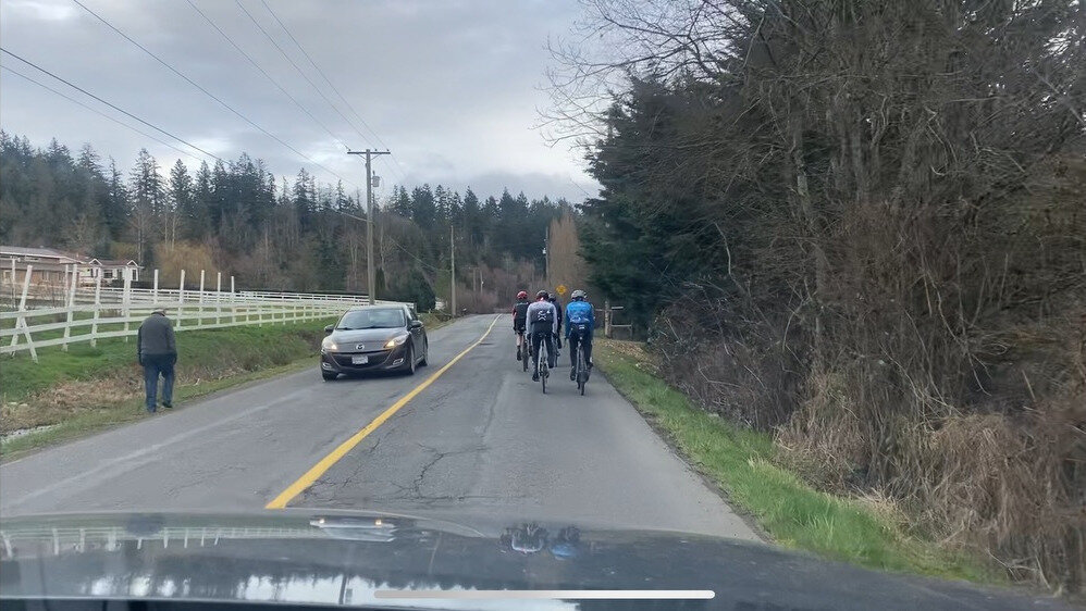 Petition · Fix Wallace Drive for the safety of pedestrians, cyclists