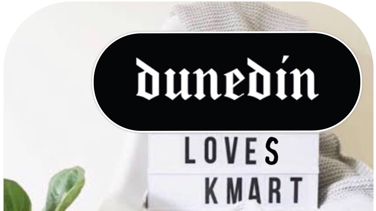 Petition · Bring KMart Back to Dunedin ·