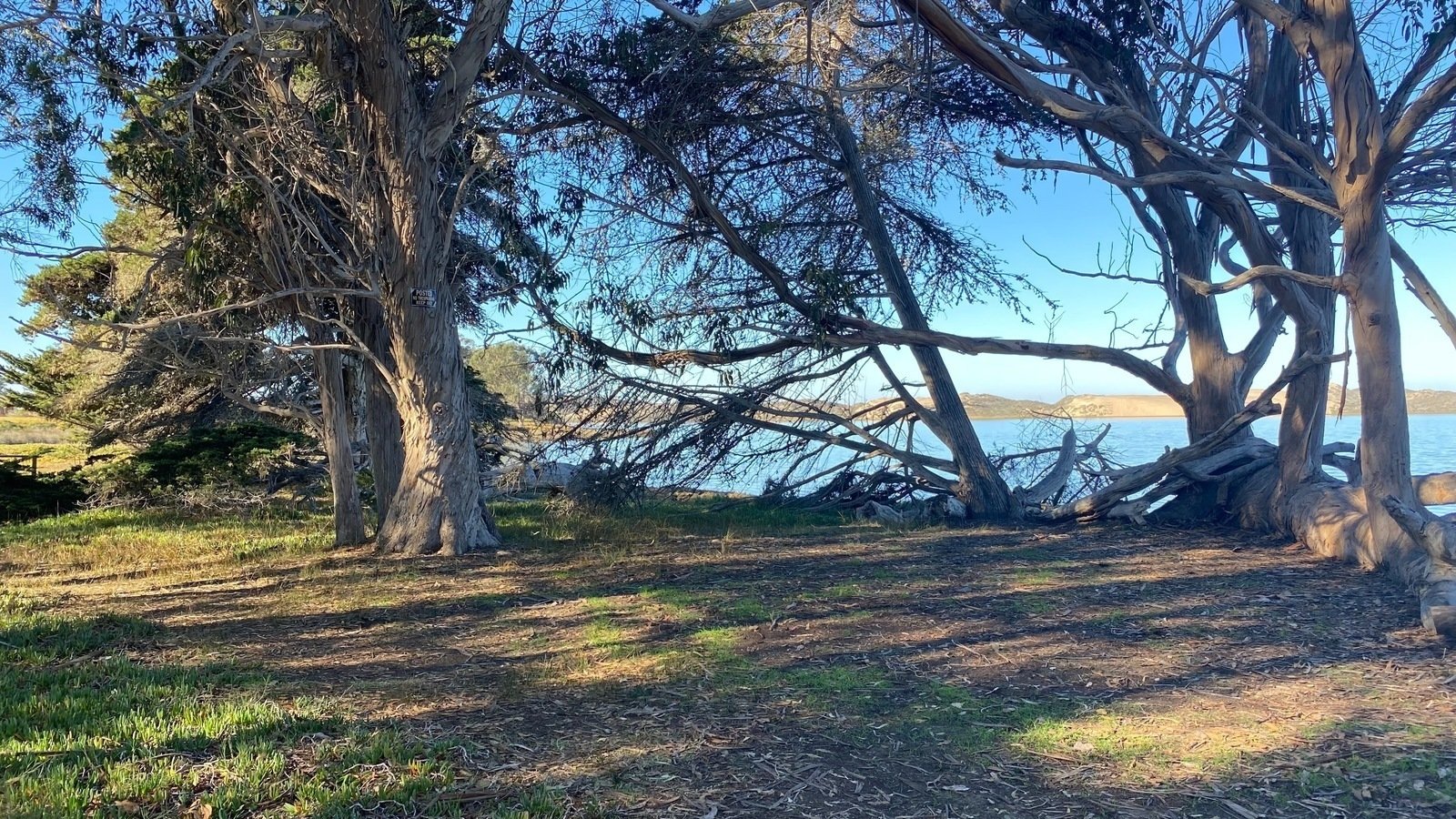 Petition · Preserve the Pecho Road Bayside Land and Public Easement in