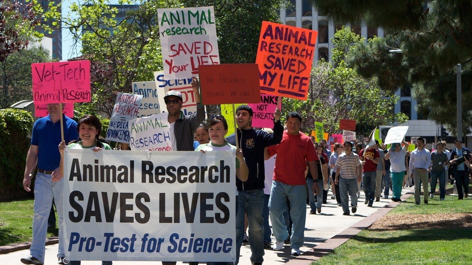 an argument against animal testing in the united states These are the an argument against animal testing in the united states same people who own com read the arguments of others. an argument against animal testing in the united states These are the an argument against animal testing in the united states same people who own com read the arguments of others.