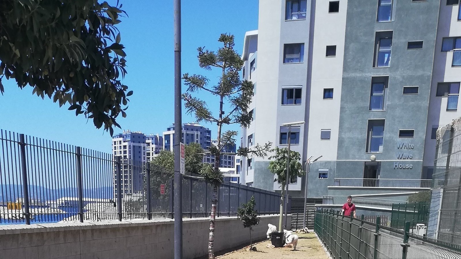 Petition · PETITION TO KEEP MID HARBOURS DOG PARK OPEN ALL HOURS AND