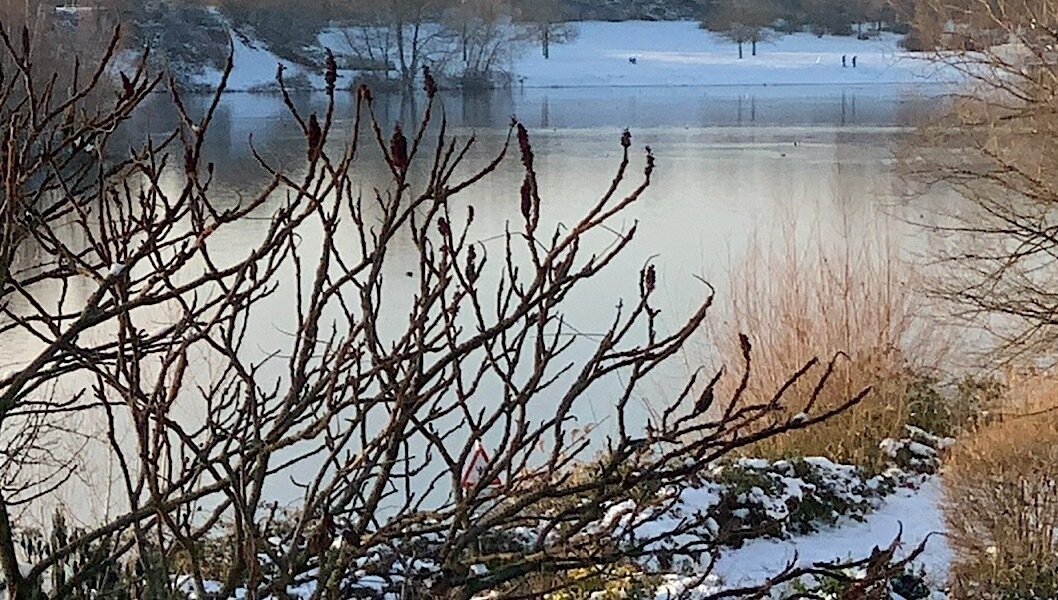 Petition · Badebetrieb am Rotter See in Gefahr Stoppen Sie die