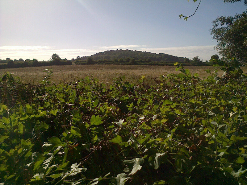 Petition · Guildford Borough Council Do NOT develop Green Belt land