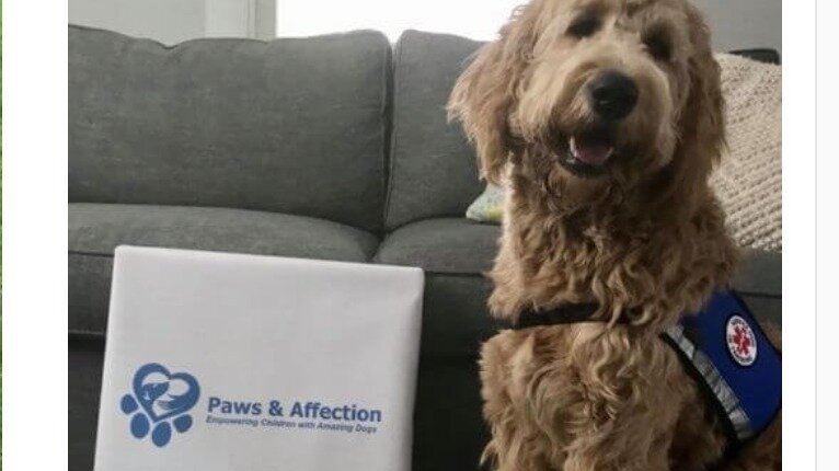 Petition · Secure a Facility Dog for Harriton High School Bryn Mawr