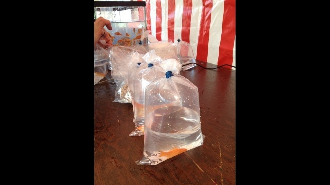 Petition · Change requirements for goldfish prizes at Western days